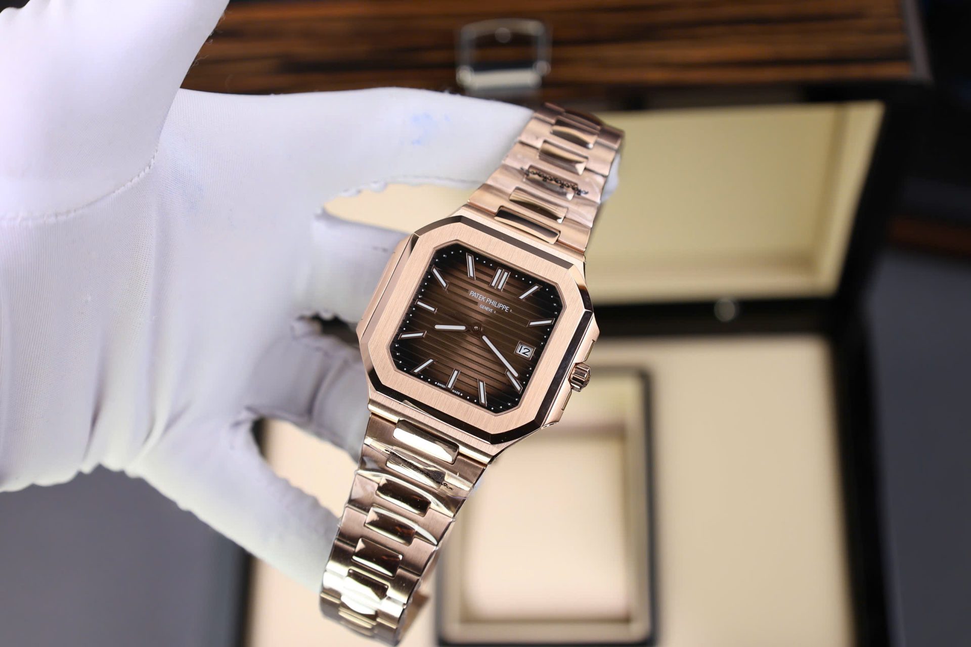 356F9893-6C4E-C52A-6C34-DAE746811FE0.jpg