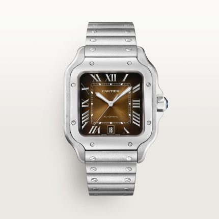 Fake Cartier Watch Santos de Cartier Large Steel Brown Dial WSSA0064-TW(1:1 replica)
