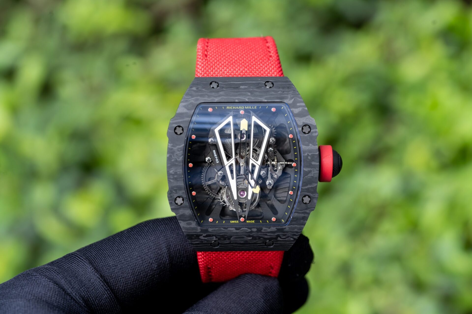 850C3093-6EDC-F3DE-8748-F4178C6FAD0C.jpg